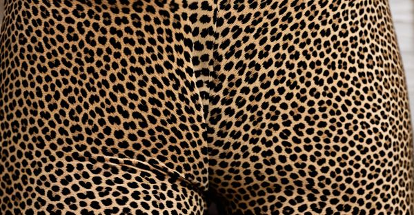 Entdecken sie stilvolle und bequeme leo leggings für jeden anlass